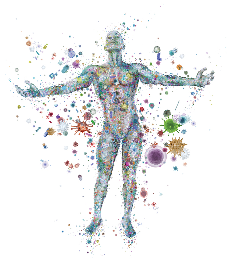 methylation